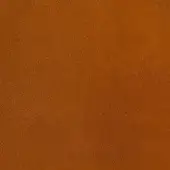 2422937 - PAPAYA